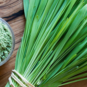 Barley Grass Powder Organic