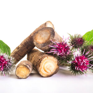 Burdock Root Powder Organic