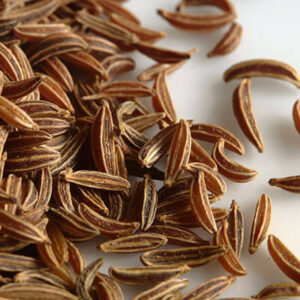 Caraway Seed Fancy