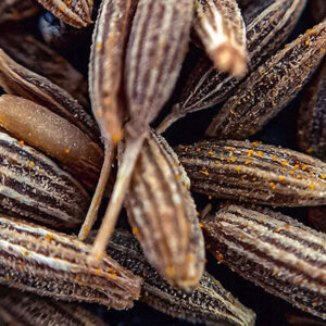 Cumin Seed Whole Organic
