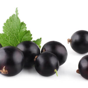 Elderberry Tbc Organic