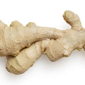 Ginger Root Tbc Organic