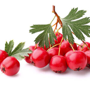 Hawthorn Berry Powder