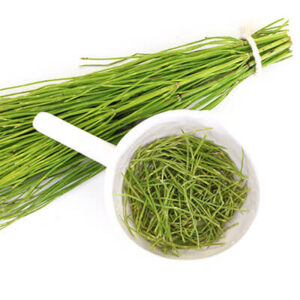 Horsetail Herb Powder (Arvense)