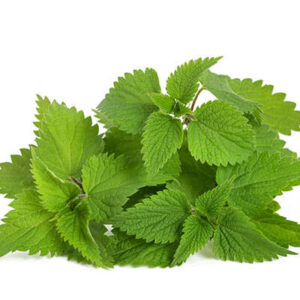 Nettle Leaf C/S Organic