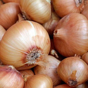 Onion Minced Organic