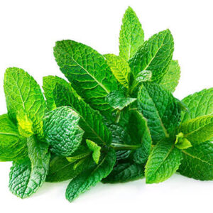 Peruvian Irish Moss Powder