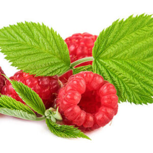 Raspberry Leaf C/S Organic