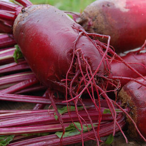 Red Beet Root Powder Organic