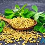 Fenugreek Seed